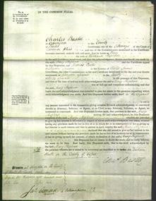 Court of Common Pleas - Mary Shepherd-Original Ancestry