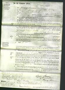 Court of Common Pleas - Elizabeth Anne Gowan and Frances Antonia Boulton-Original Ancestry