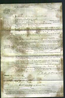 Court of Common Pleas - Jane Woodcock Thomas-Original Ancestry