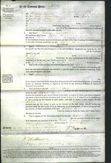 Court of Common Pleas - Sophia Jane Lawrence-Original Ancestry