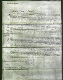 Court of Common Pleas - Ann Macey, Jane Macey, Elizabeth Macey and Eliza Crampton-Original Ancestry