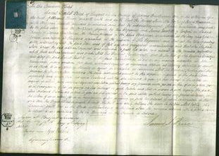 Court of Common Pleas - Ann Newman-Original Ancestry