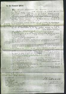 Court of Common Pleas - Julia Sophia Woodgate-Original Ancestry