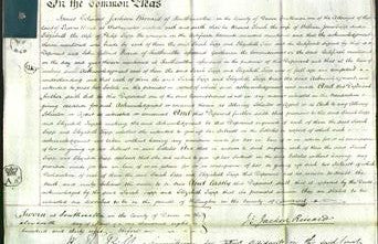 Court of Common Pleas - Sarah Tapp and Elizabeth Tapp-Original Ancestry