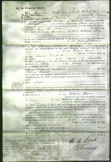 Court of Common Pleas - Rebecca Rosina May-Original Ancestry