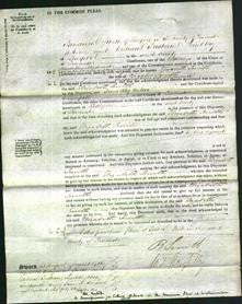 Court of Common Pleas - Elizabeth Smith-Original Ancestry