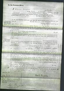 Court of Common Pleas - Hannah Julia Knighten-Original Ancestry