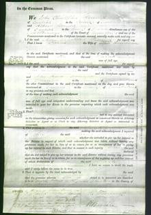 Court of Common Pleas - Sarah Henderson-Original Ancestry