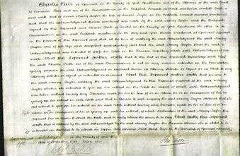 Court of Common Pleas - Nancy Taylor-Original Ancestry