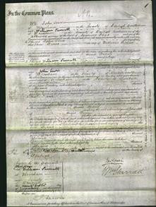 Court of Common Pleas - Diana Bithell-Original Ancestry