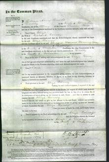 Court of Common Pleas - Eliza Barney-Original Ancestry