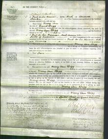 Court of Common Pleas - Mary Ann Bigg-Original Ancestry