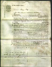 Court of Common Pleas - Elizabeth Brown Dudley-Original Ancestry