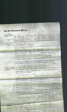 Court of Common Pleas - Mary Brown-Original Ancestry