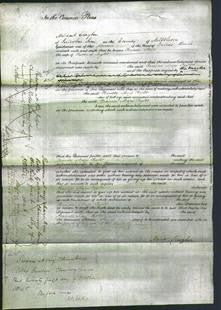 Court of Common Pleas - Frances Mary Taylor-Original Ancestry