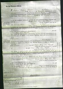 Court of Common Pleas - Eliza Mary Ann Hipwell-Original Ancestry