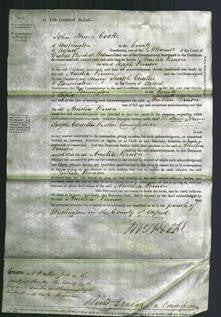 Court of Common Pleas - Amelia Vernon-Original Ancestry