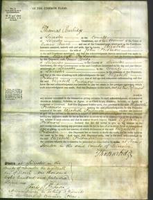 Court of Common Pleas - Elizabeth Pridmore-Original Ancestry