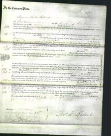 Court of Common Pleas - Mary Eliza Goble-Original Ancestry