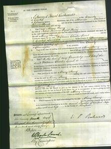 Court of Common Pleas - Mary Stacey-Original Ancestry