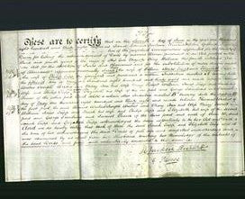 Deed by Married Women - Sarah Tapp and Elizabeth Tapp-Original Ancestry