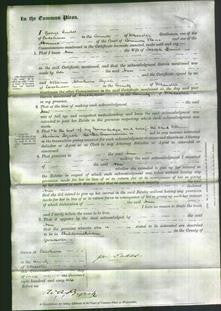 Court of Common Pleas - Ann Davis-Original Ancestry