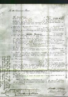Court of Common Pleas - Juliana Hydes-Original Ancestry