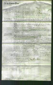 Court of Common Pleas - Louisa Sarah Douglass and Jane Rutherford-Original Ancestry