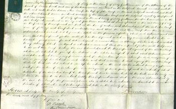 Court of Common Pleas - Ann Camp-Original Ancestry