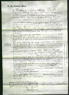 Court of Common Pleas - Ellen Frances Drayton-Original Ancestry