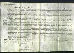 Court of Common Pleas - Ann Palmer-Original Ancestry