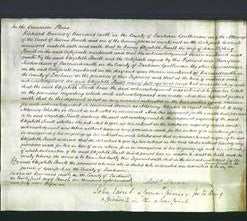 Court of Common Pleas - Elizabeth Powell-Original Ancestry
