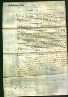 Court of Common Pleas - Elizabeth Fawdry-Original Ancestry