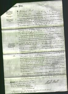 Court of Common Pleas - Margaret Jane Brockman-Original Ancestry