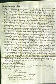 Court of Common Pleas - Elizabeth Lunn and Isabella Davison-Original Ancestry