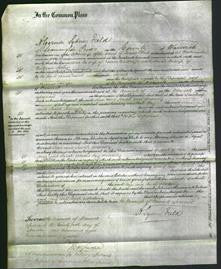 Court of Common Pleas - Ann Radcliffe and Sarah Seeley-Original Ancestry