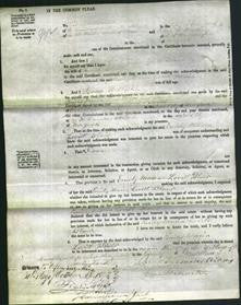 Court of Common Pleas - Emily Maria Lovitt Blair-Original Ancestry