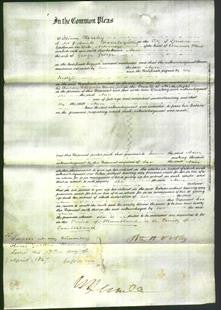 Court of Common Pleas - Ann George-Original Ancestry