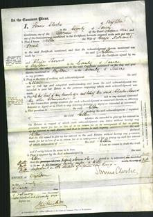 Court of Common Pleas - Ellen Pocock-Original Ancestry