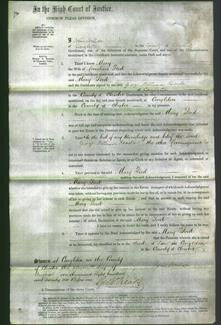 Court of Common Pleas - Mary Ford-Original Ancestry