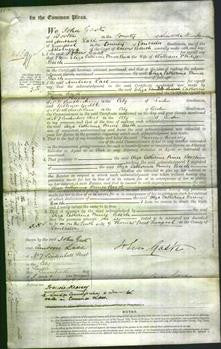 Court of Common Pleas - Eliza Catherine Prince Beech-Original Ancestry