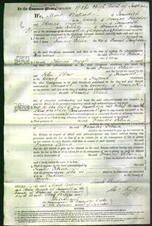 Court of Common Pleas - Frances Selina Thompson-Original Ancestry