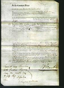 Court of Common Pleas - Elizabeth Hickman Palmer-Original Ancestry