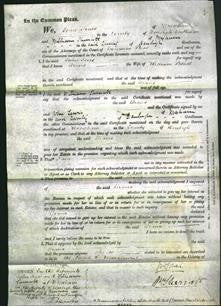 Court of Common Pleas - Diana Bithell-Original Ancestry