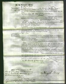 Court of Common Pleas - Jane Williams-Original Ancestry