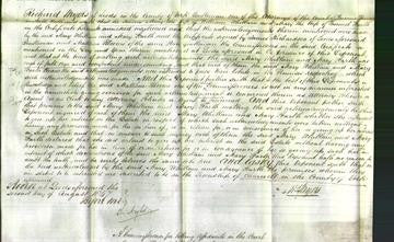 Court of Common Pleas - Mary Whittam and Mary Searth-Original Ancestry