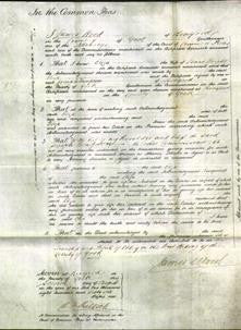 Court of Common Pleas - Eliza Wright-Original Ancestry