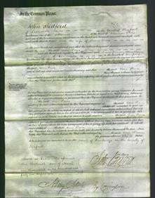 Court of Common Pleas - Ann Preece-Original Ancestry