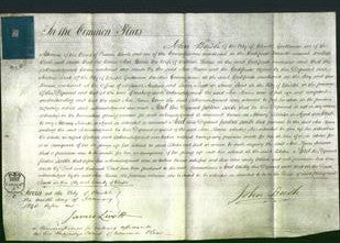 Court of Common Pleas - Ann Harris-Original Ancestry