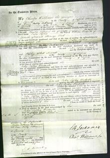 Court of Common Pleas - Julia Sophia Woodgate-Original Ancestry